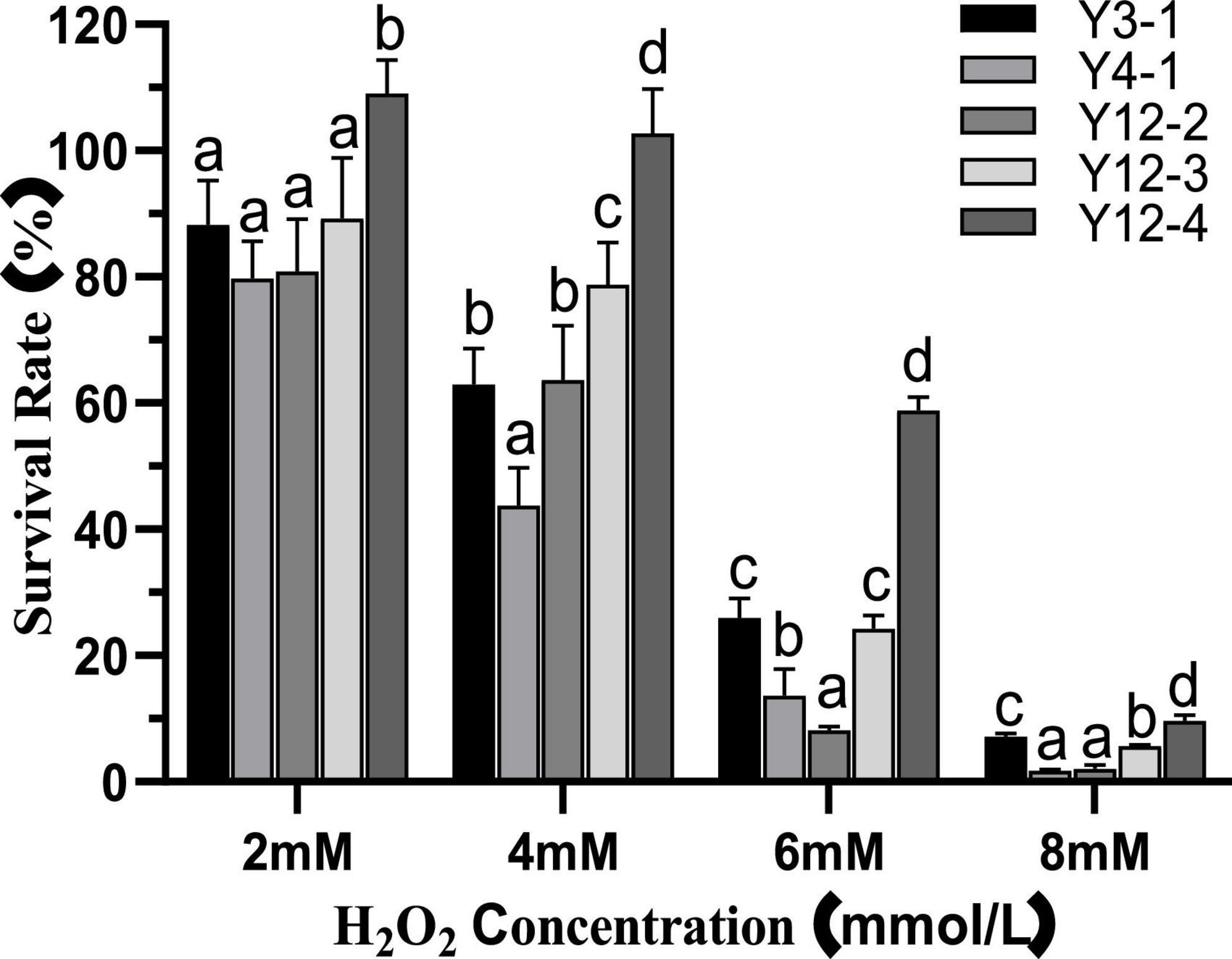 Antioxidant effect of yeast on lipid oxidation in salami sausage